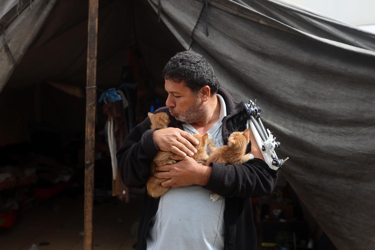 aseelswaid9's tweet photo. Gaza, Palestine. https://t.co/svSQY0dm10
