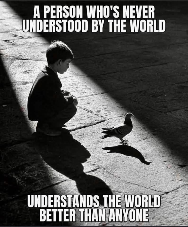 🧬Maxpein🧬 tweet media