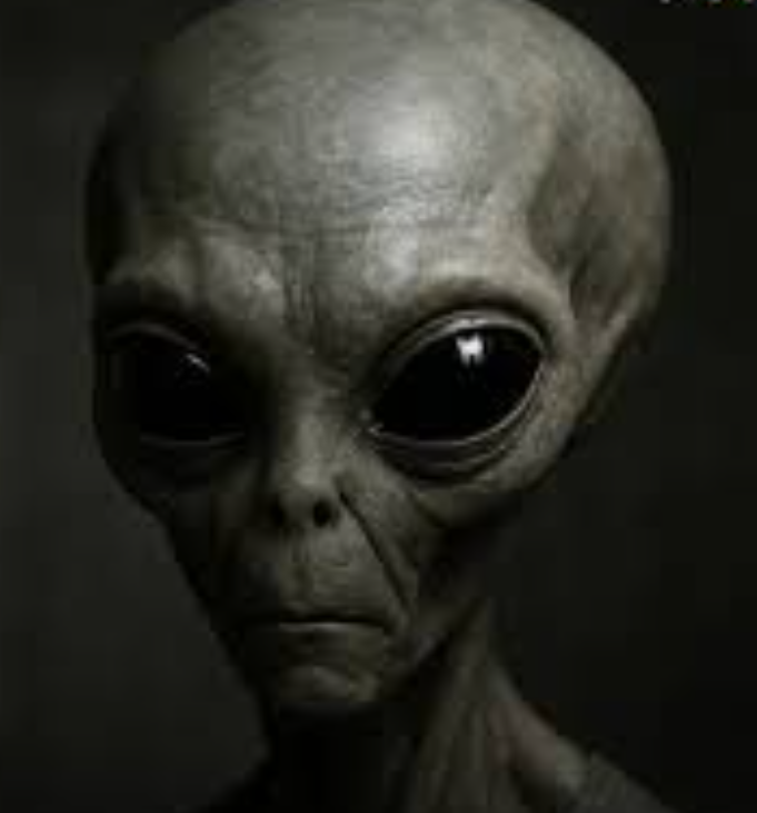 Mr. Nobody tweet media