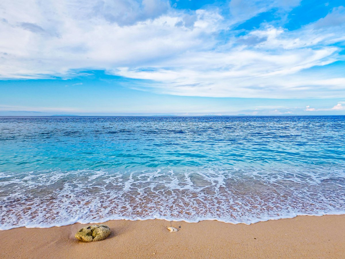 Alayah  Lowe tweet media