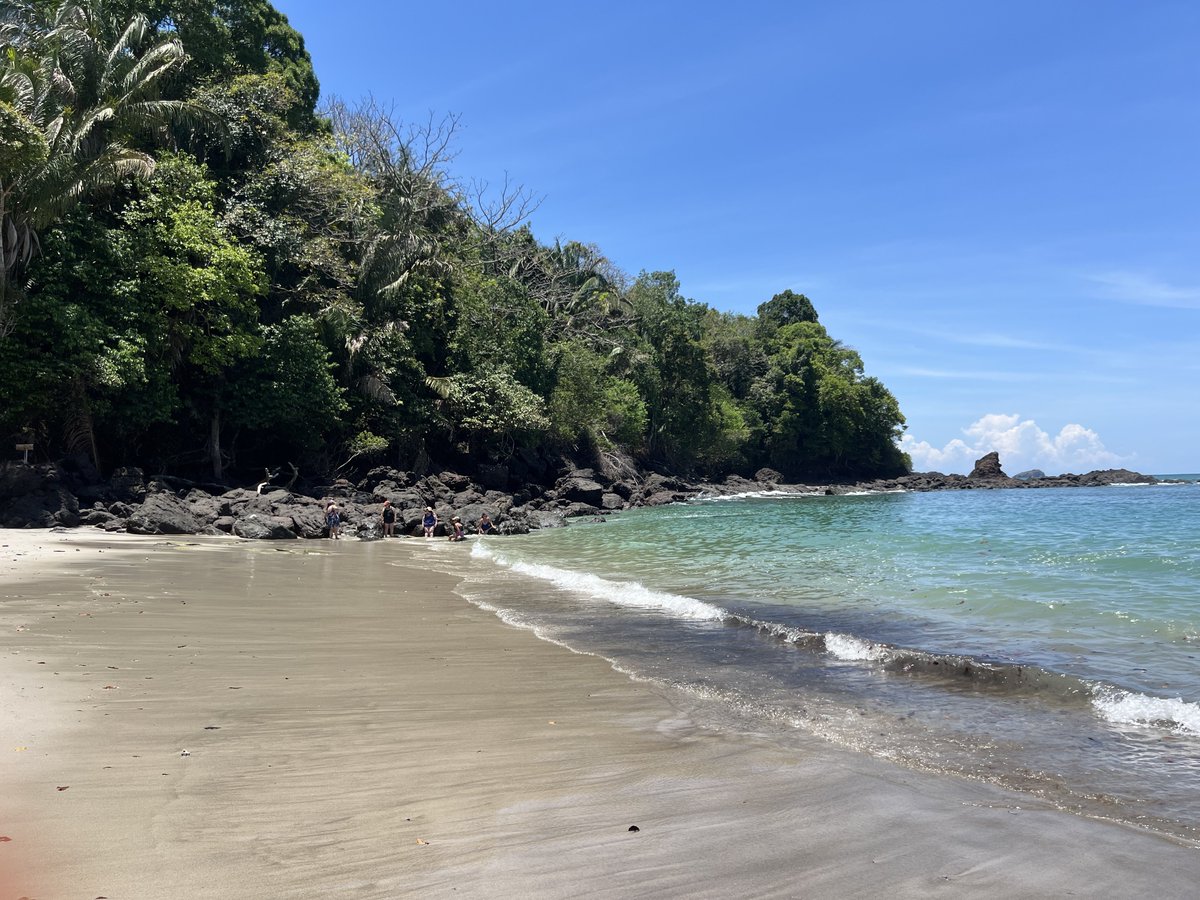 tatins5's tweet photo. Las bellezas que se ven en mi país 🇨🇷🥰😍🌊 

#CostaRicaPuraVida https://t.co/xOKnhMQ1EB
