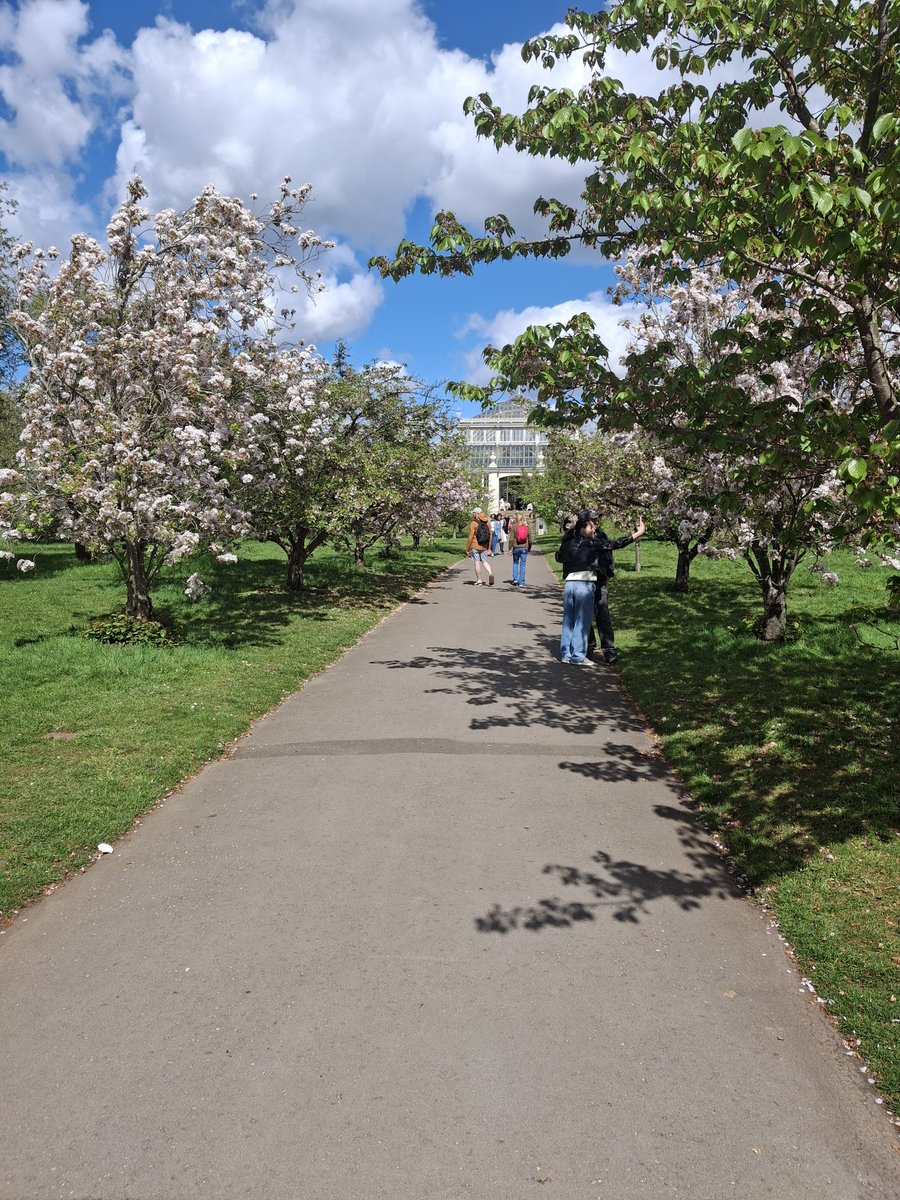 aria ⭐️ (doe) tweet media