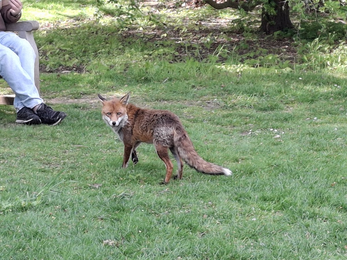 aria ⭐️ (doe) tweet media