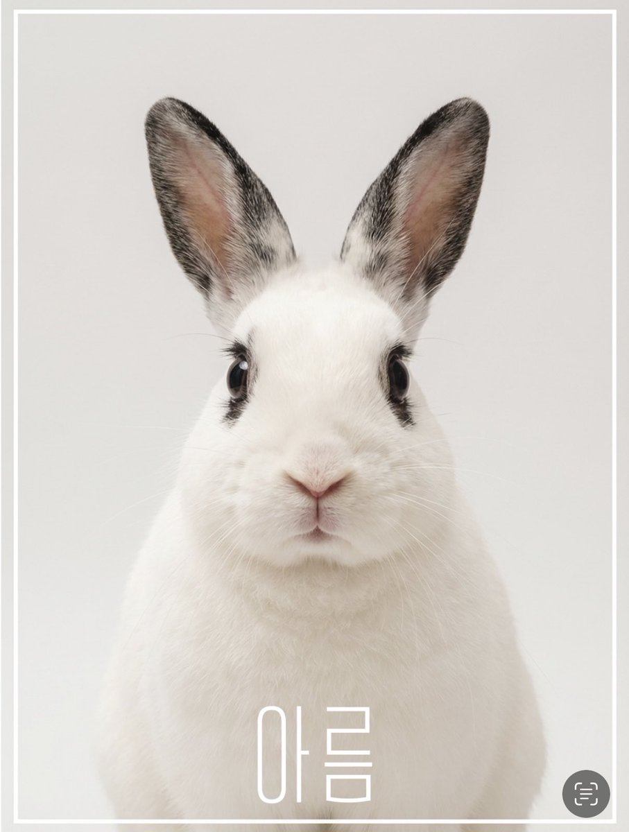 ໊ tweet media