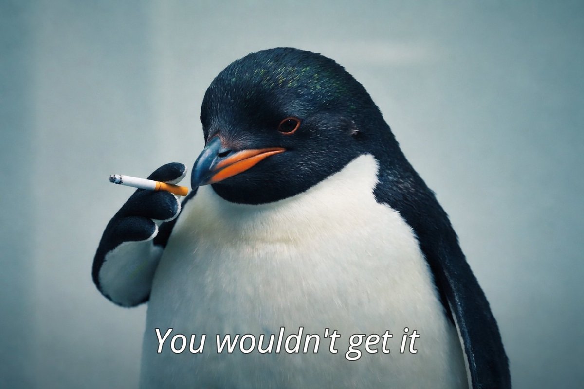 pingu tweet media