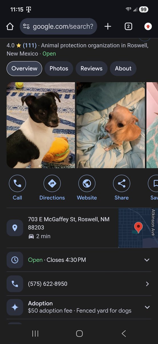 GypsyWolf tweet media