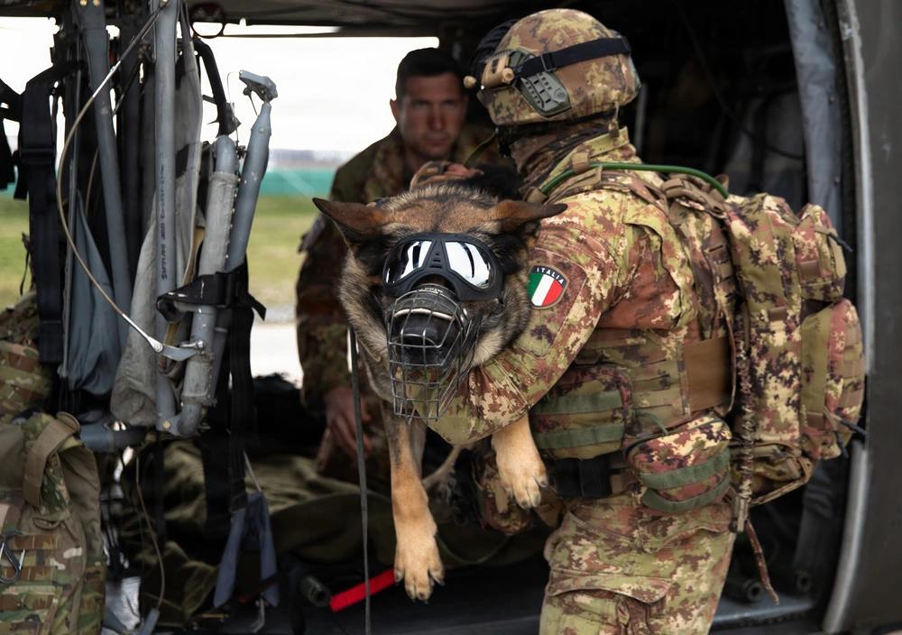 Ready to respond—for every member of the team.

@NATO_KFOR partners trained K9 MEDEVAC at Camp Novo Selo, integrating handlers, vets, and aviation to boost interoperability and readiness.

📸: Staff Sgt. Spencer Rhodes

@USArmy | @DeptOfWar | @NATO | @US_EUCOM https://t.co/Y3itGOJmy5
