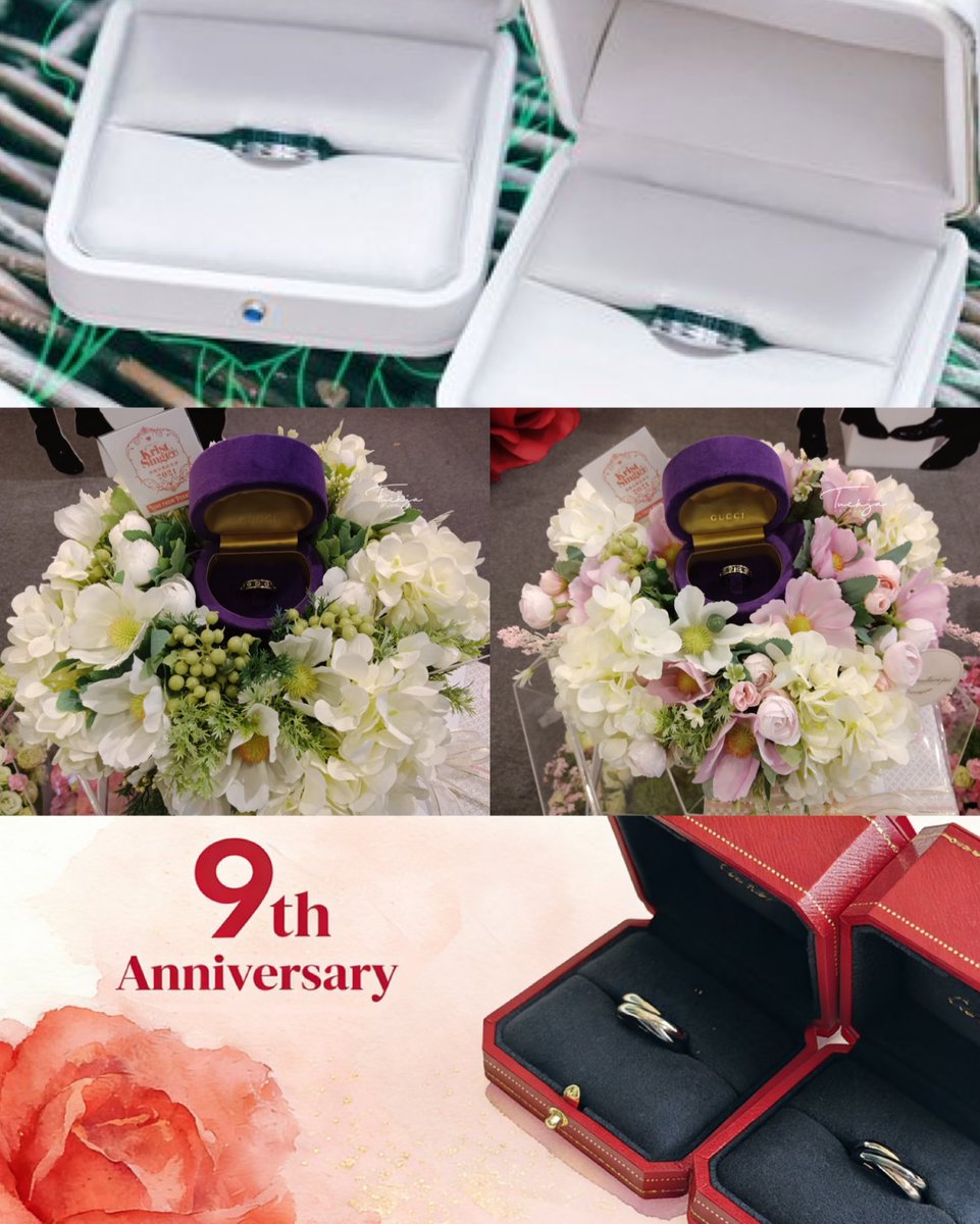 𝑳𝒊𝒐𝒏&𝑻𝒖𝒓𝒕𝒍𝒆ˢᵏ🦁🐢✍️♥️ tweet media