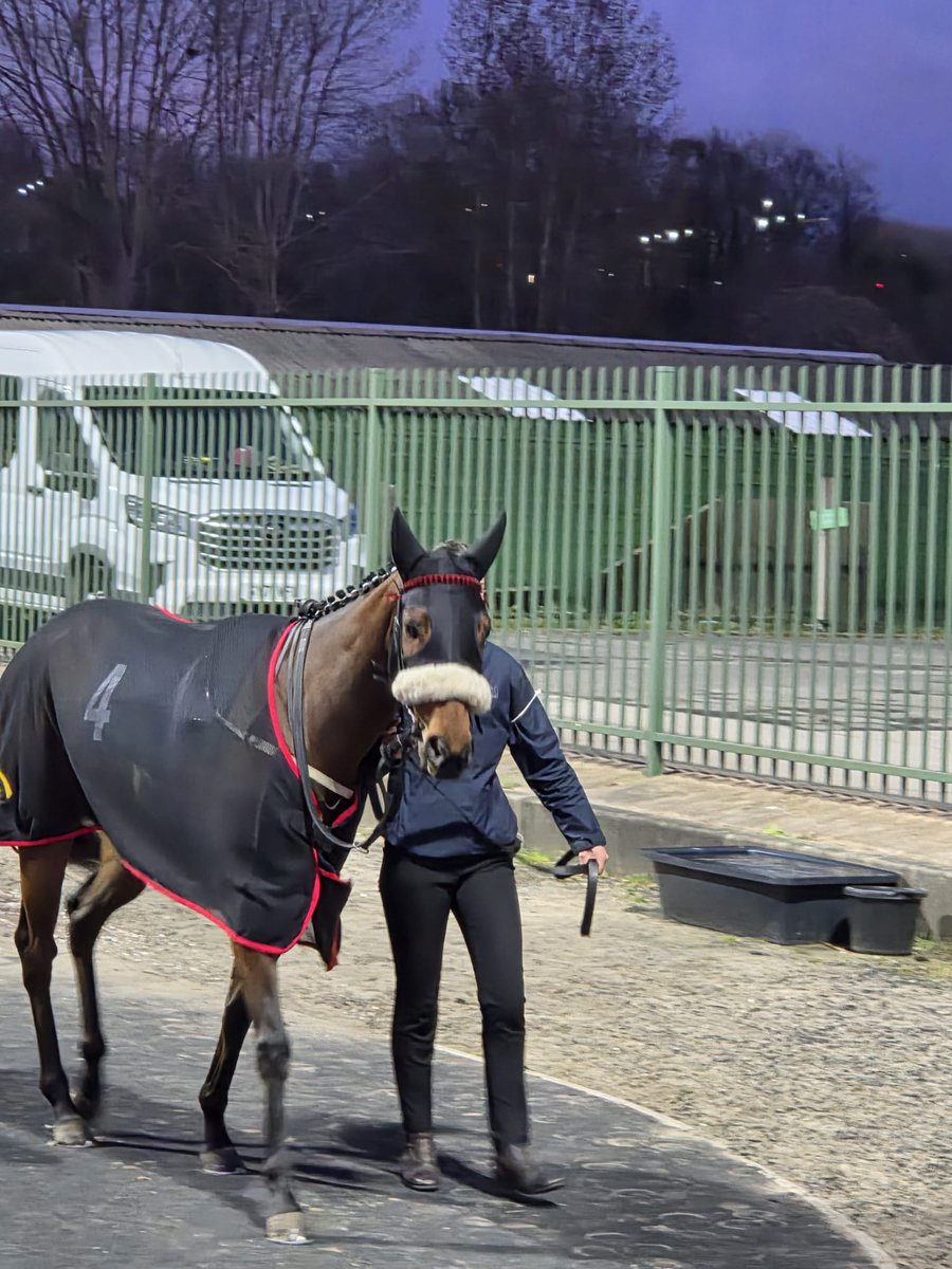 Always Trying Racing Syndicate tweet media