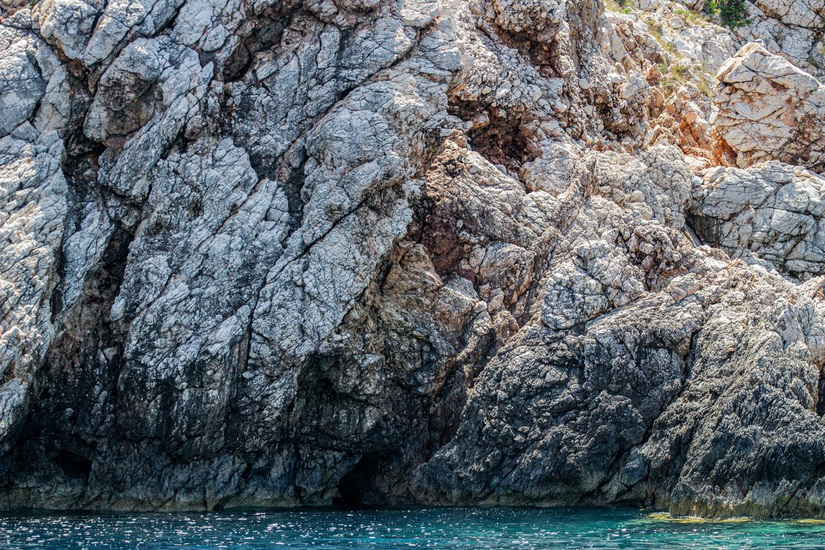 Billy Hallowes tweet media