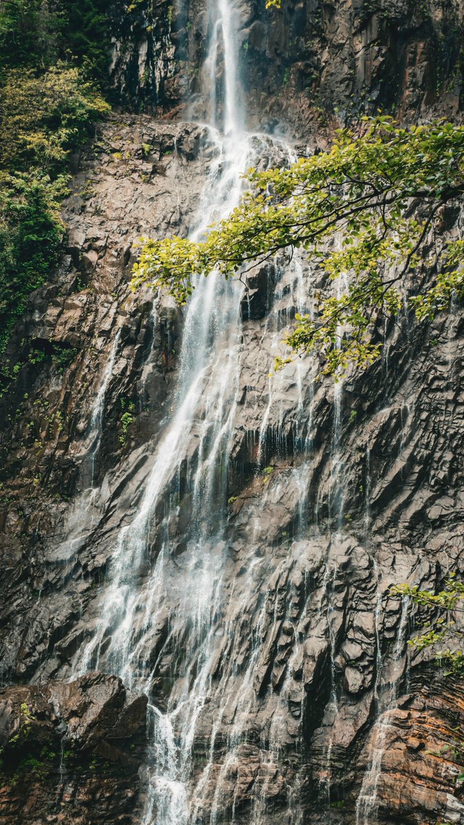 Alayah  Lowe tweet media