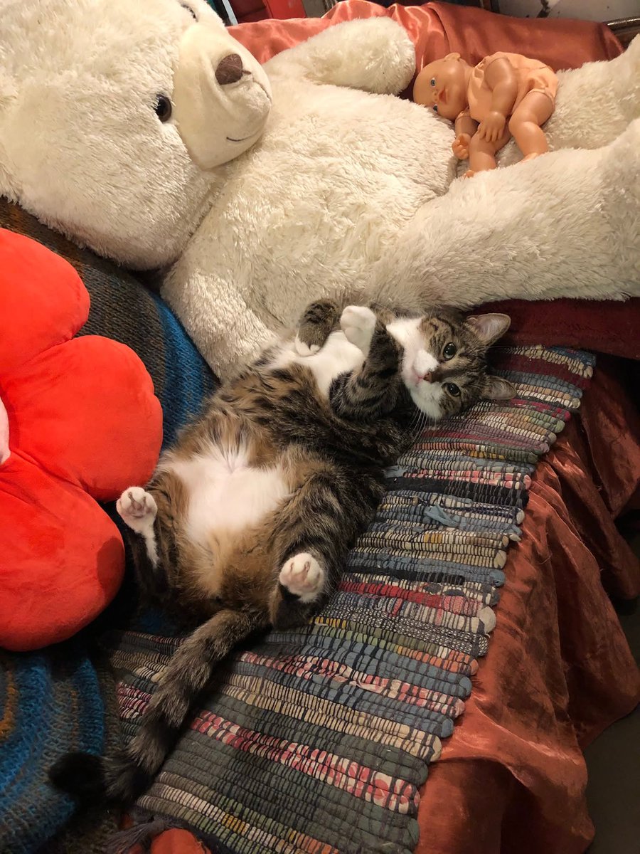 katarzyna hildreth tweet media