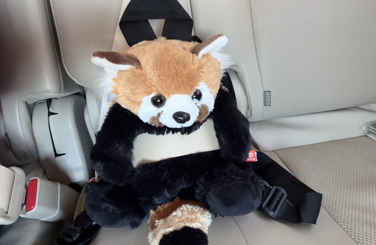 september (≽ܫ≼)🌧️ tweet media