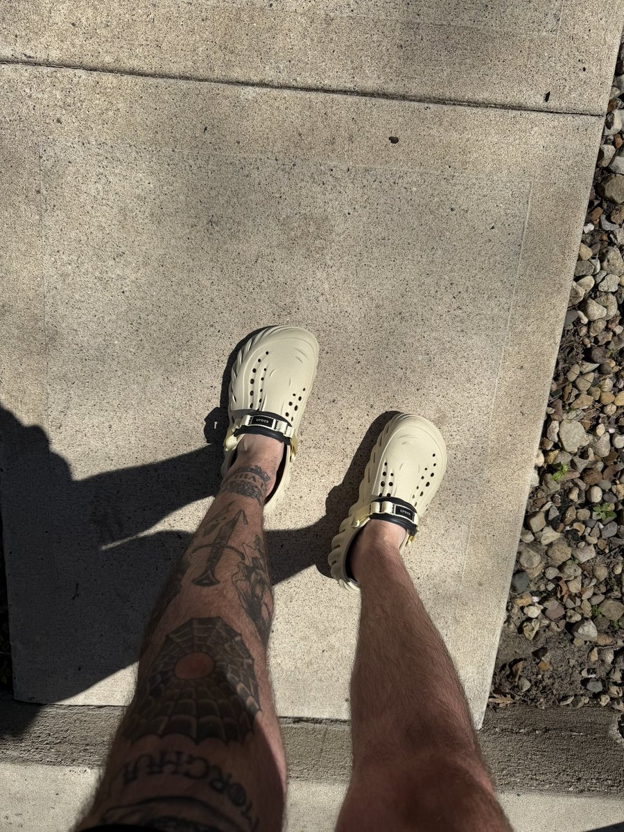 croc connoisseur tweet media