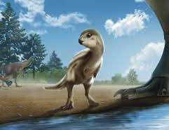 파키케팔로사우르스 tweet media