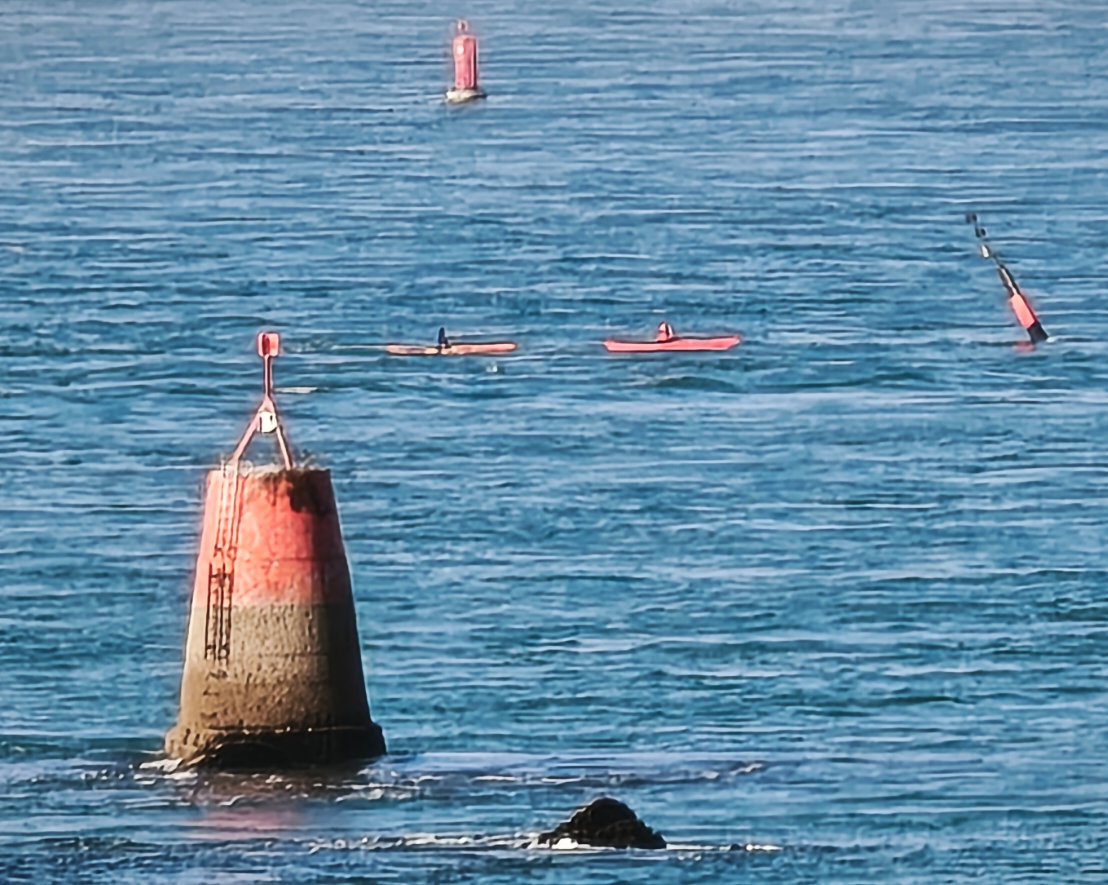 Bonne soirée de samedi 
#MaPhotoDeVingtHeure2026
108/365 Le Conquet - Les Renards -