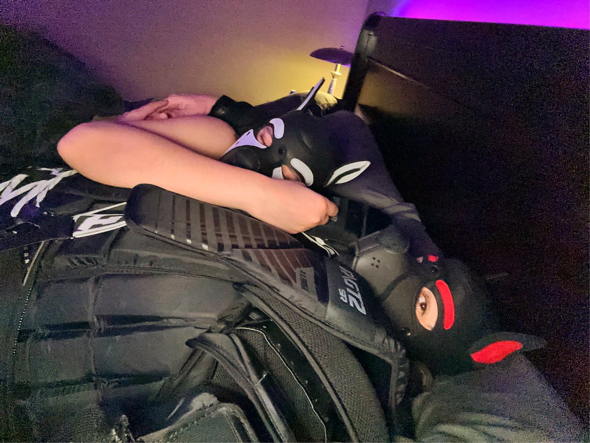 GoaliePups tweet media