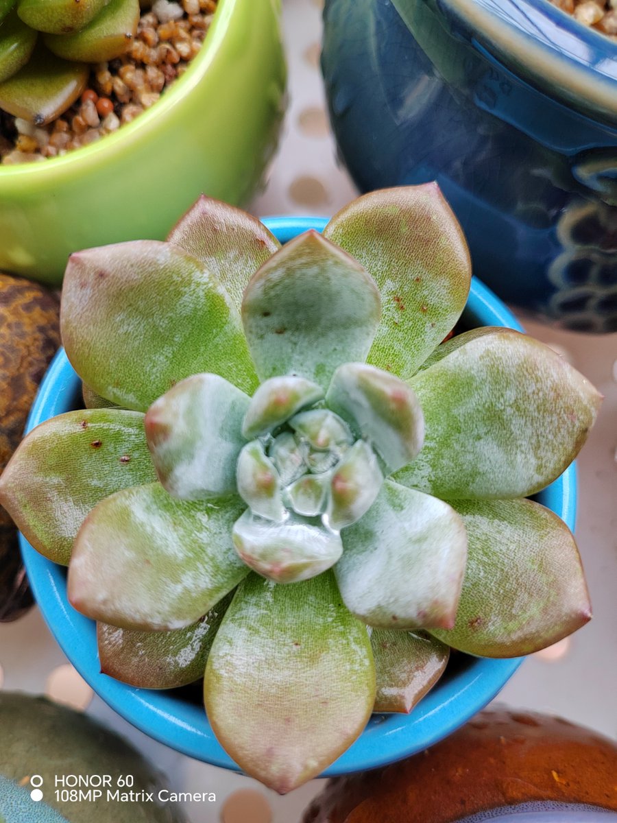 Heather Hammond tweet media