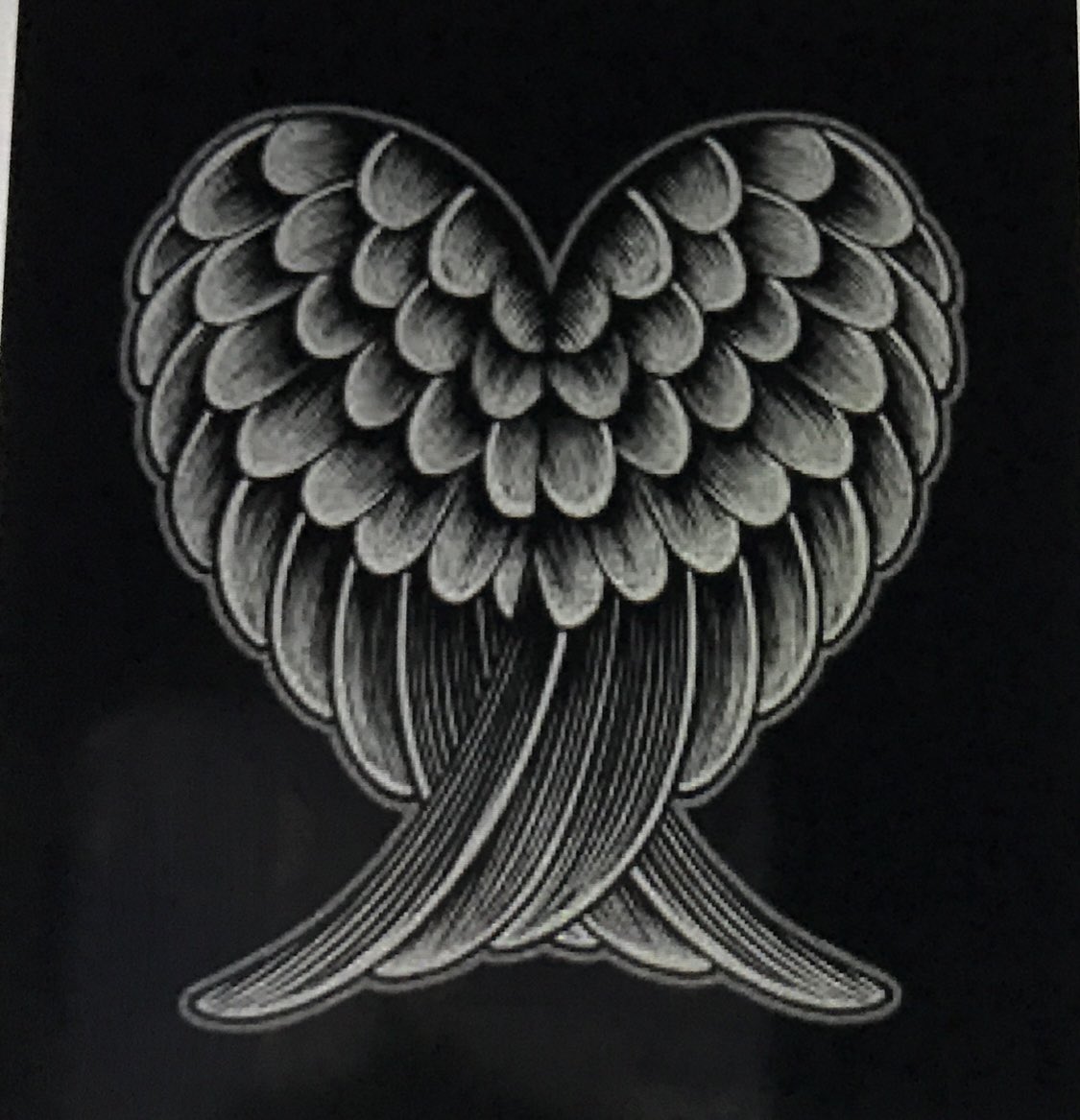 CertifiedEcoTourismDoyenne tweet media