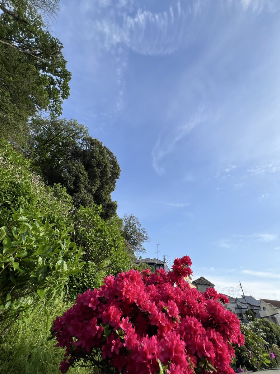 浄霊師　NAOちゃん tweet media