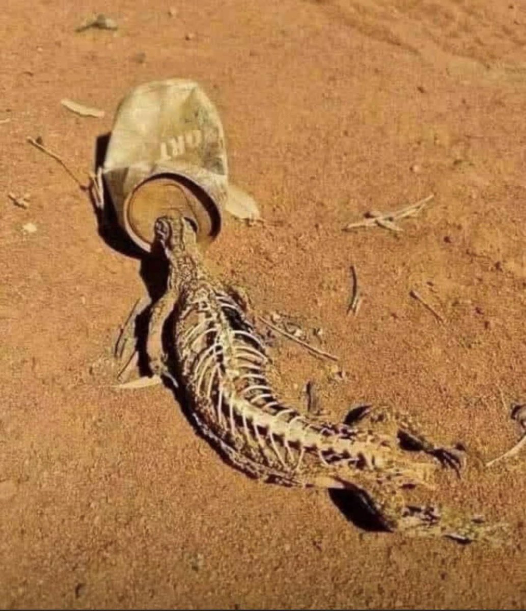 K-man 🇳🇦 tweet media