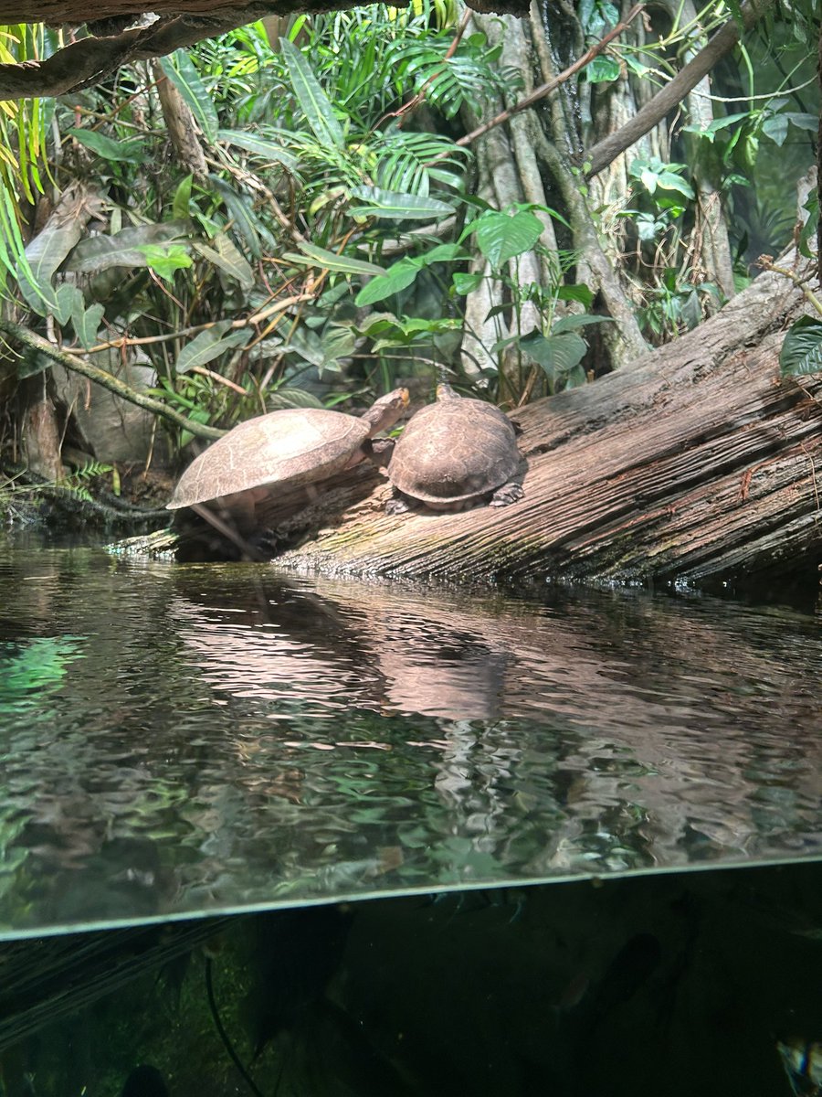 Brock Winston III tweet media