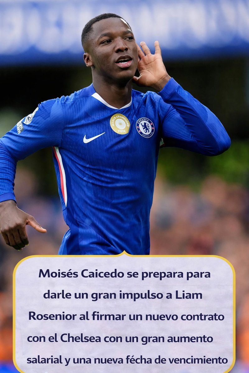 LatamF43083's tweet image. Chelsea apuesta fuerte por Caicedo a largo plazo.

#Chelsea
#Caicedo
#Fichaje
#Renovación
#FútbolInglés