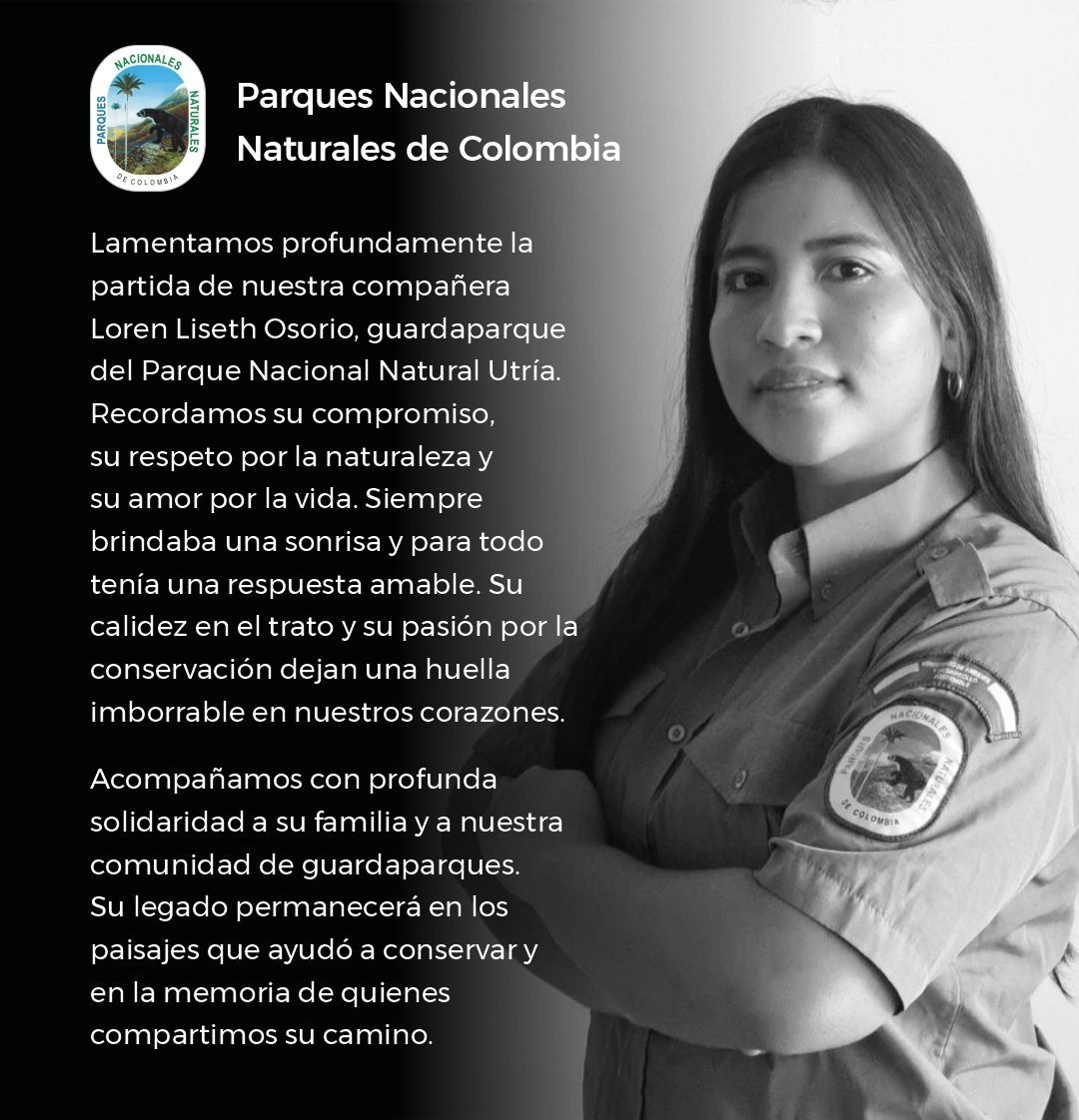 En un intento de hurto fue asesinada Loren Liseth Osorio, de 32 años, funcionaria de Parques Nacionales Naturales, en un establecimiento de comercio del barrio Antonio Nariño, oriente de Cali. El agresor la atacó con arma blanca y huyó del lugar en bicicleta. #VocesySonidos