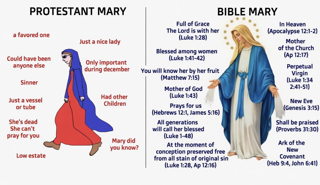 That Catholic Guy 🇻🇦 tweet media