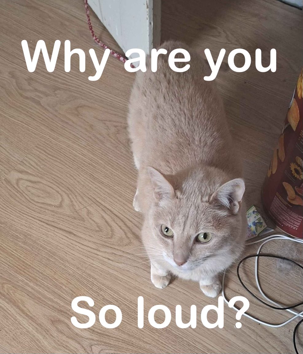 JoKerPT🔥✨ tweet media