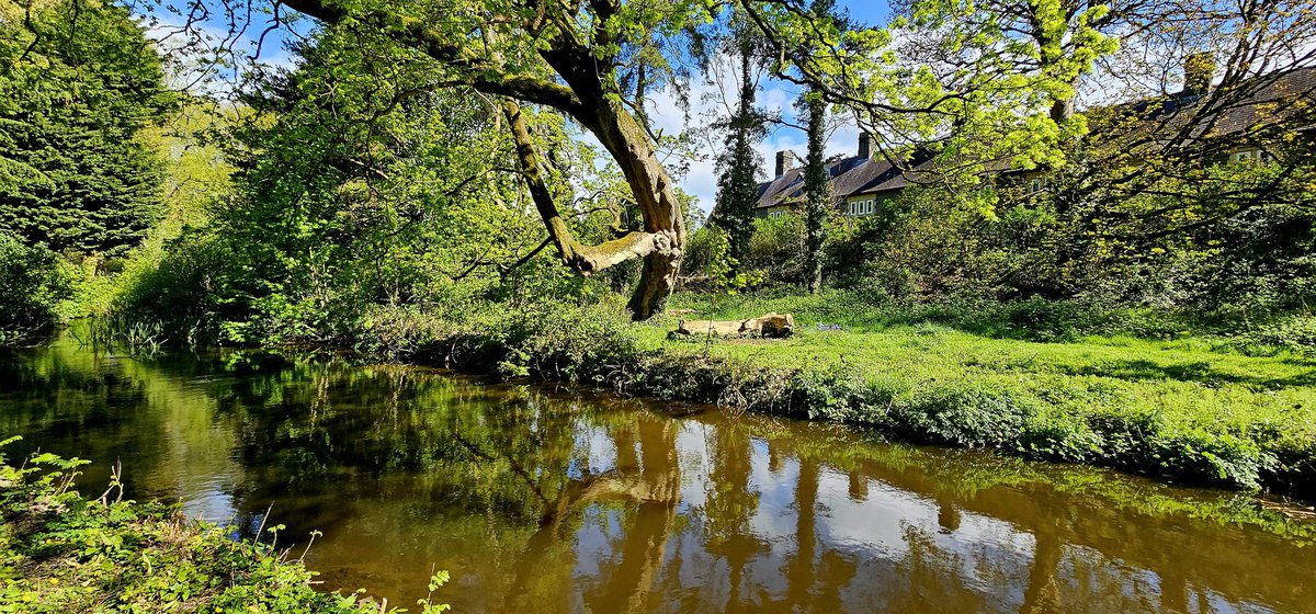ValeLife's tweet photo. Nice little wander through Cardiff's Bute Park this morning. #CityLifeCardiff #ValeLife https://t.co/cR4boiHlSJ