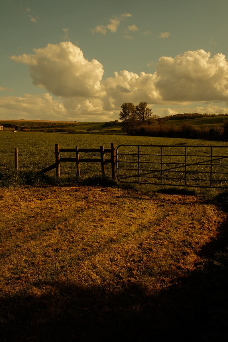 Alastair Hilton tweet media