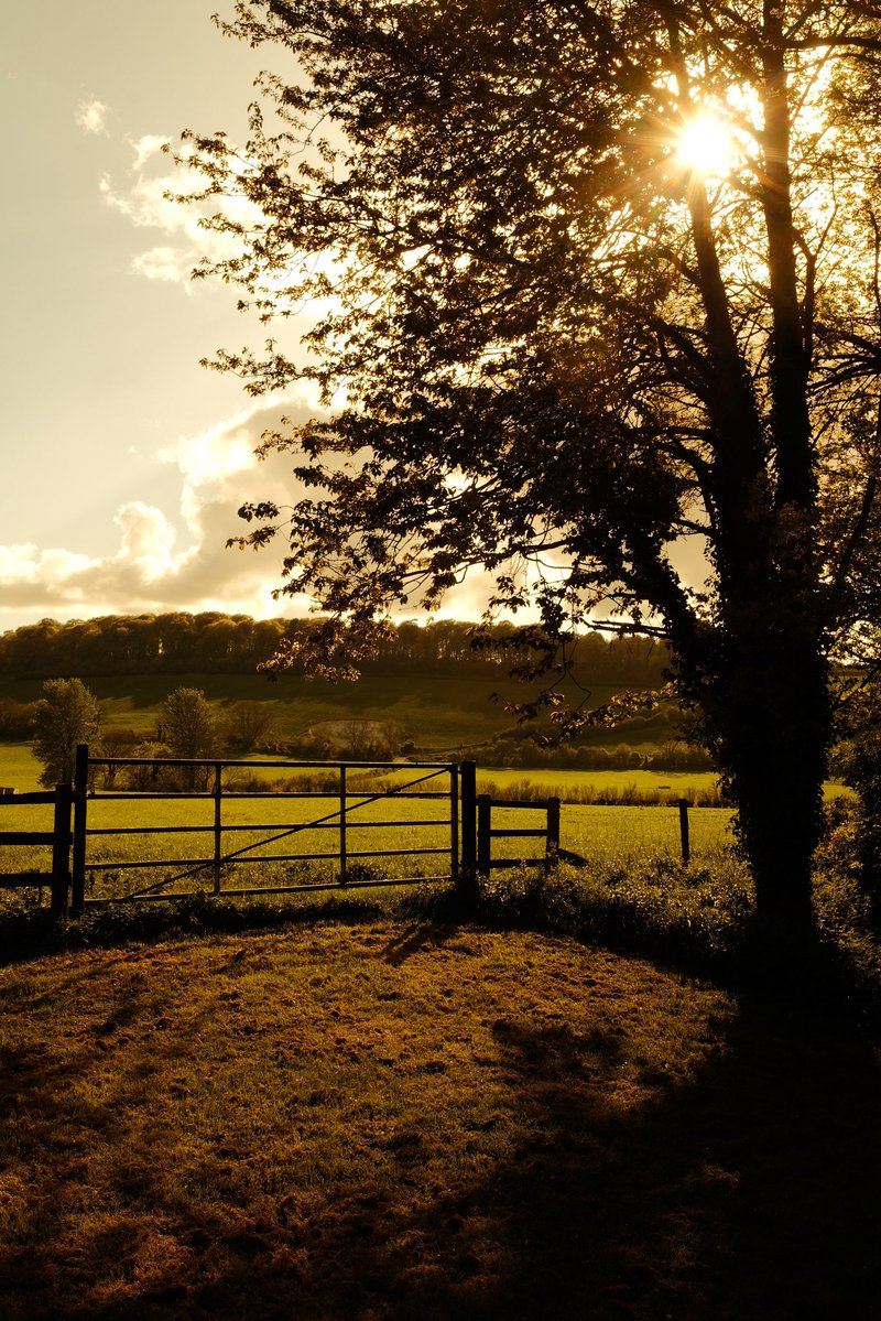 Alastair Hilton tweet media