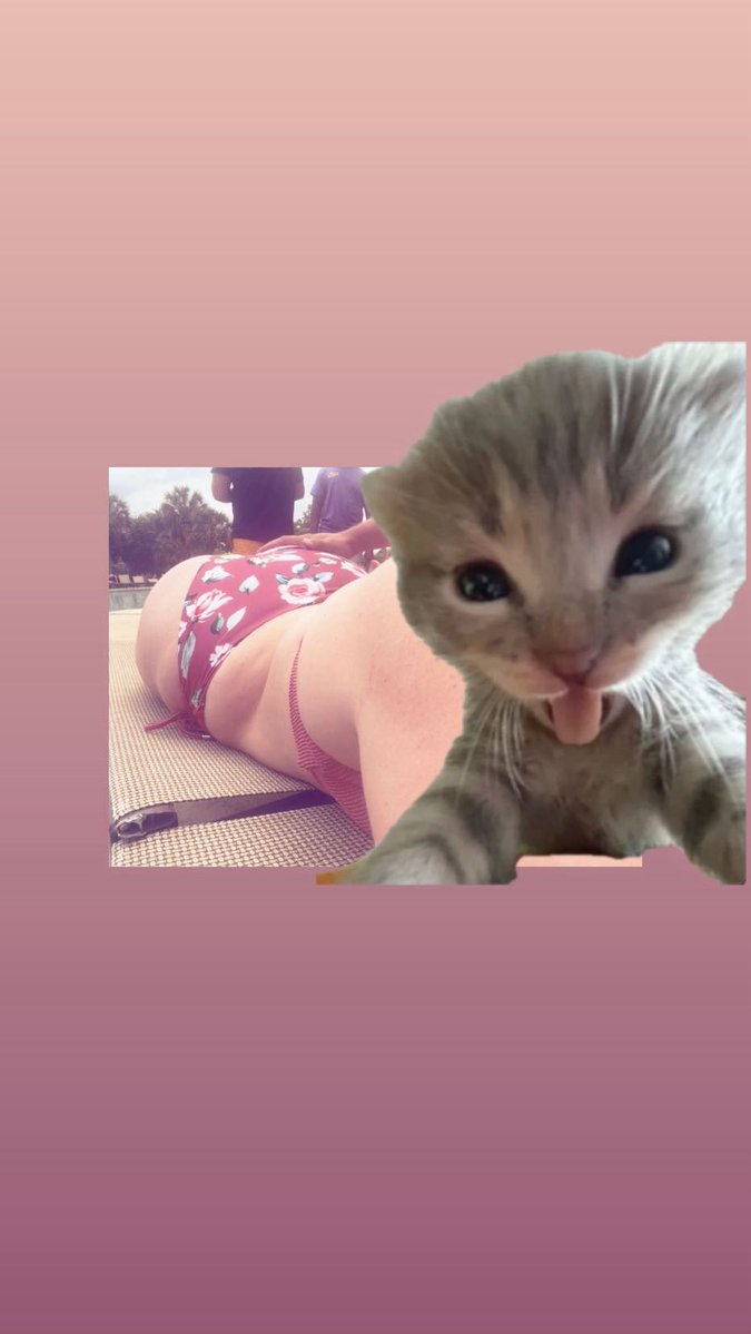 ﾟ･✩𝔪𝔬𝔱𝔥 ✩･ﾟ || 04/28 🎂 tweet media