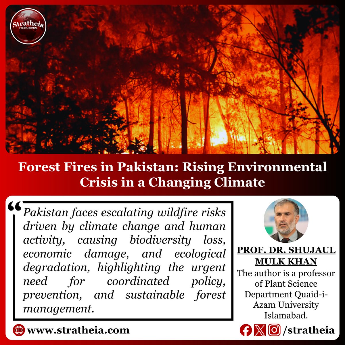 stratheia's tweet image. Pakistan’s forests are under threat. Wildfires are no longer seasonal—they are becoming a recurring environmental crisis. @DrShujaul 
#Pakistan #Wildfires #ClimateChange #EnvironmentalCrisis
Read Full Article: stratheia.com/forest-fires-i…