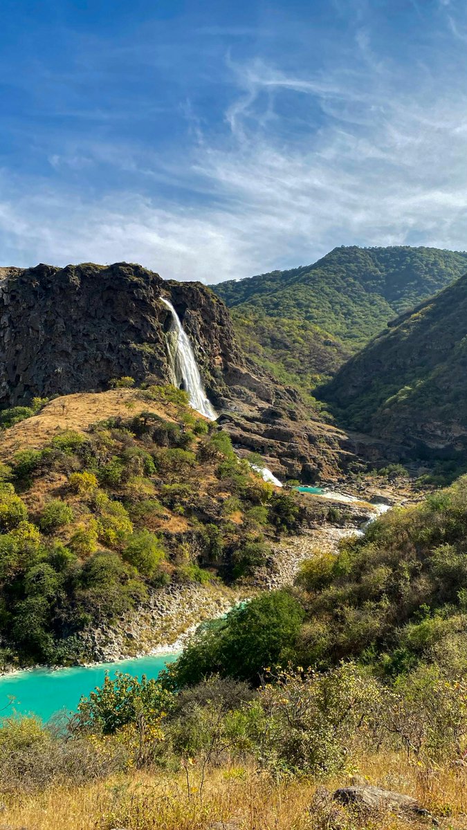 Samuel pedroza tweet media