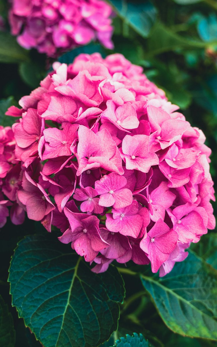 Eduardo Ramirez tweet media