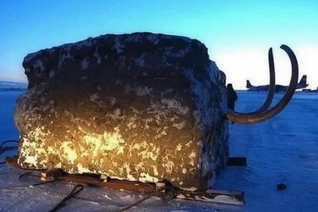 Historic Vids tweet media