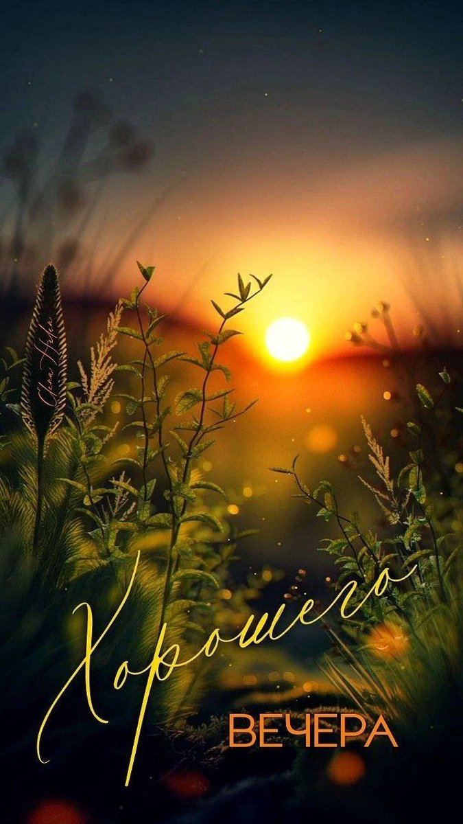 Orhan🇹🇷🇹🇷 tweet media