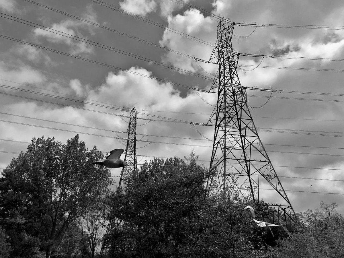 To walk beneath the march of pylons. To walk beneath the electric ley of the land. To follow The Hum. This was our calling. This was our navigation. Transmission tower to transmission tower, we were transformed. – Signal-catcher Rose, ex-Child of The Hum #VOH #Pylons