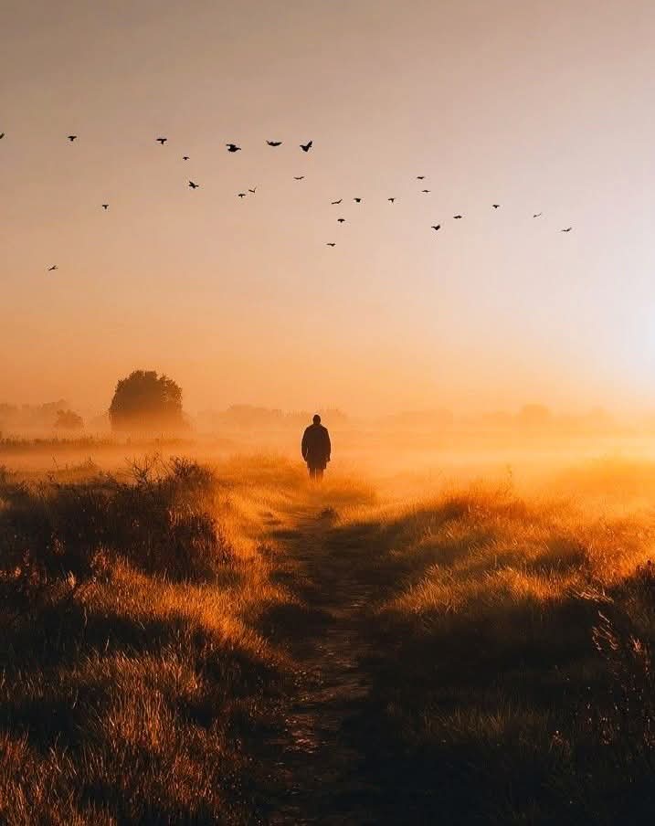 "من عرِفَ قِيمةَ نفسّه يُغادر ، لا يُفاوض"

#تصبحون_على_خير 🙏😴💤