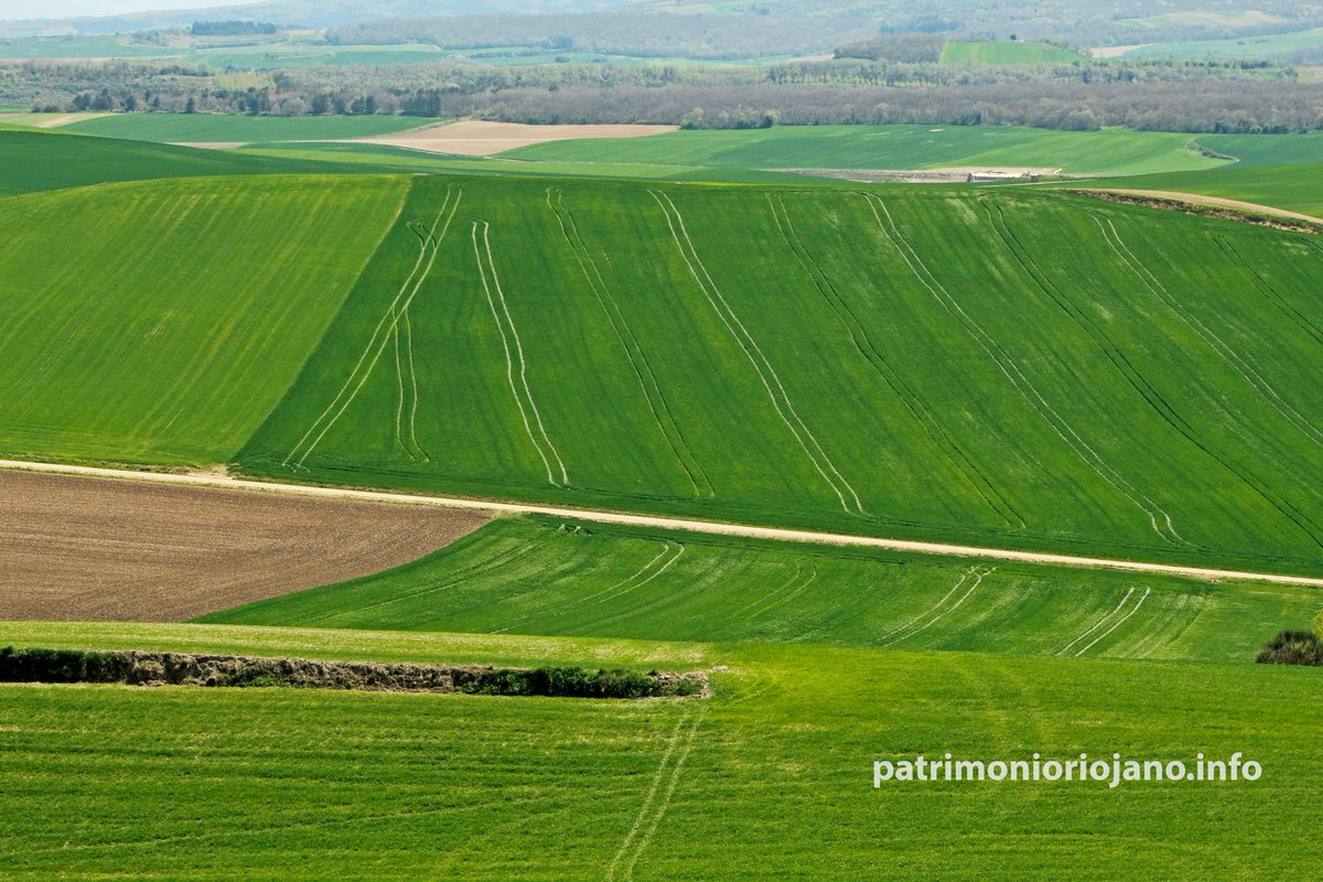 Todo al verde!!!
Por tierras de la Riojilla, a la vera del Río Reláchigo que en días de primavera luce y pasa tal que así por las inmediaciones de Redecilla del Camino. 
💚🌳🏞️✨