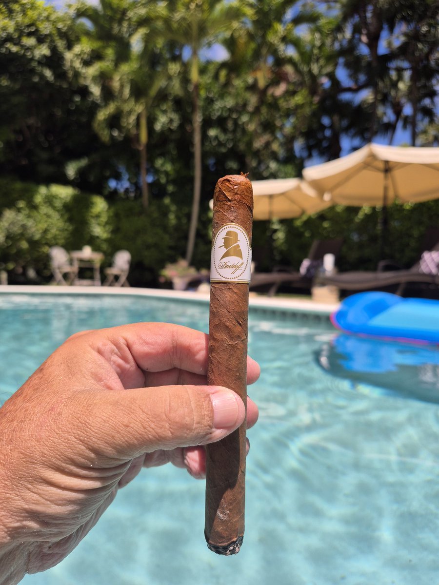 keepmovin2020's tweet image. Sir Winston 🎩
#CIGARLIFE 🔥💨