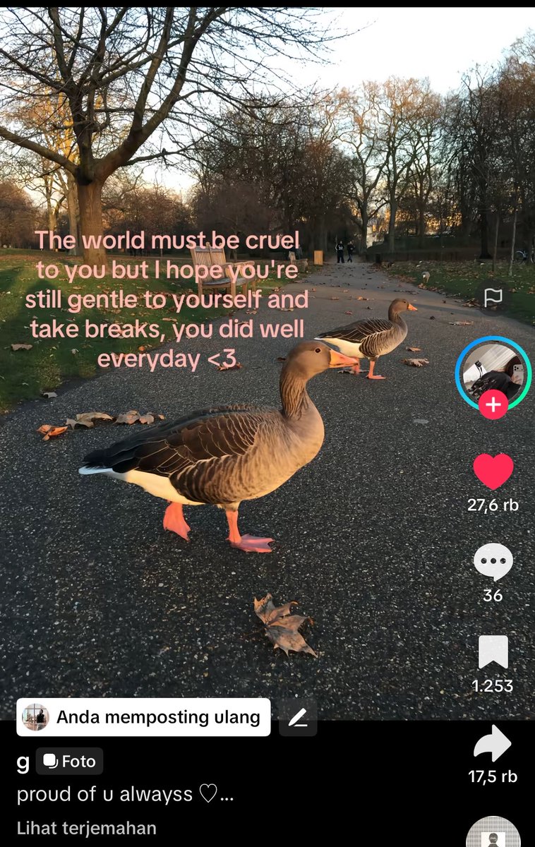 aya 🍅 tweet media