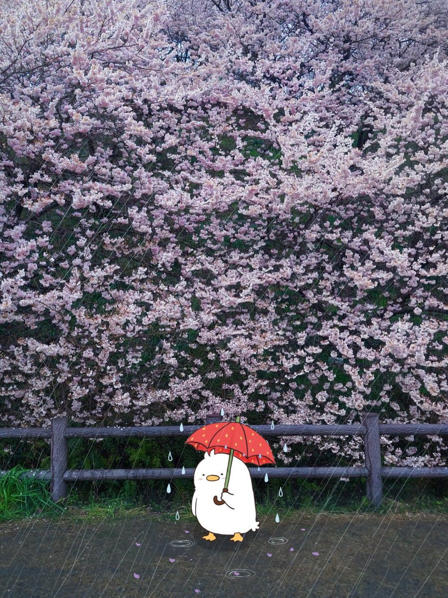 dearbillyart tweet media