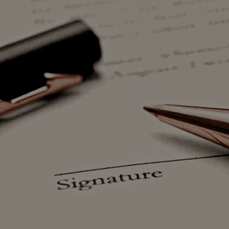 Guard: Rhys.B tweet media