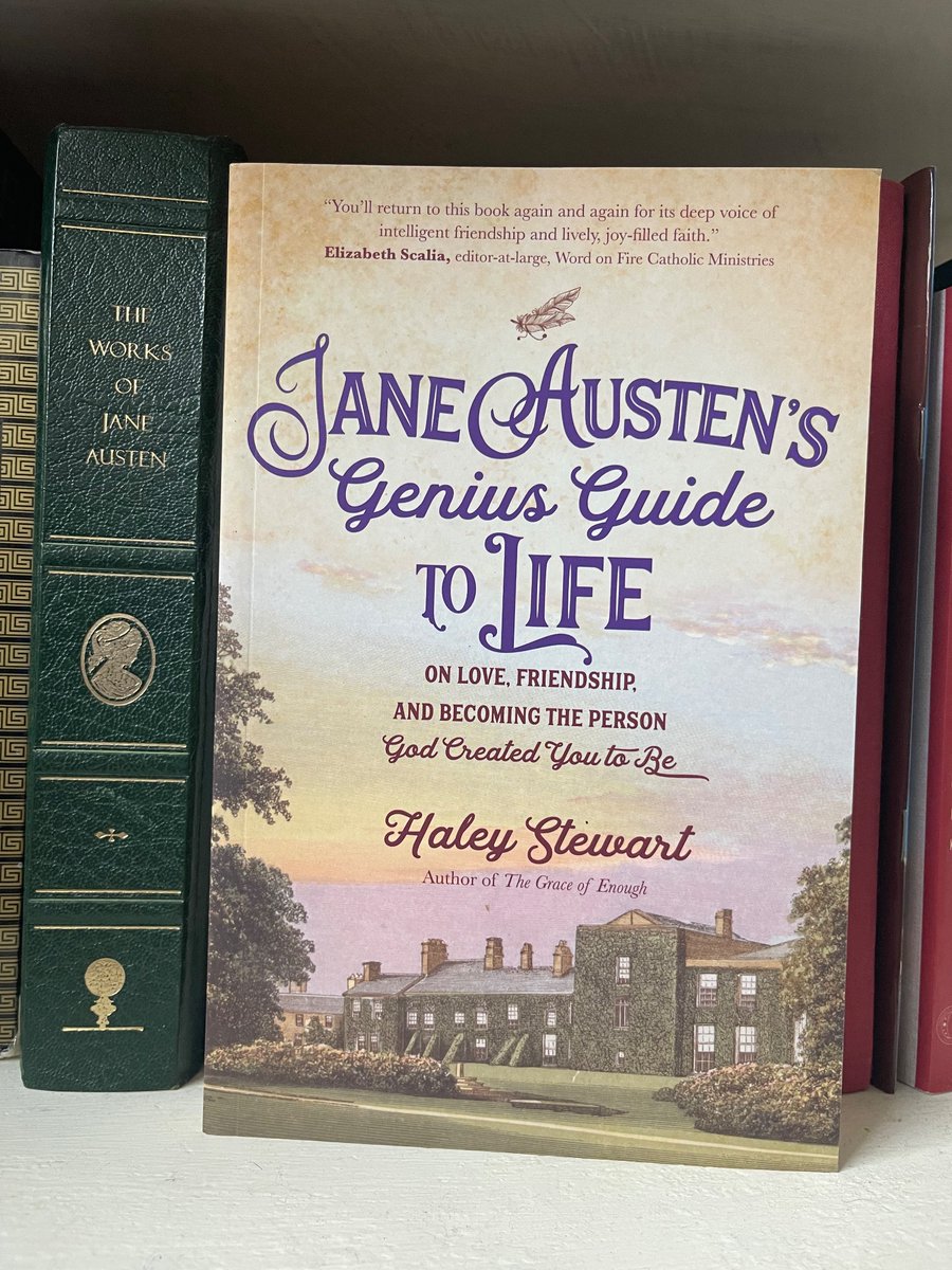 Daniel Fitzpatrick tweet media