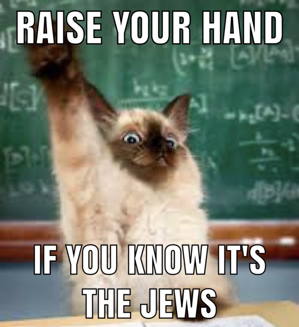 •VΣЯ1FЯΣП• tweet media