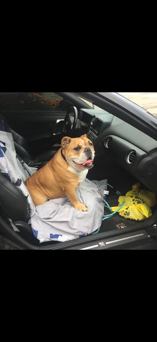 Ⓜ️archese tweet media