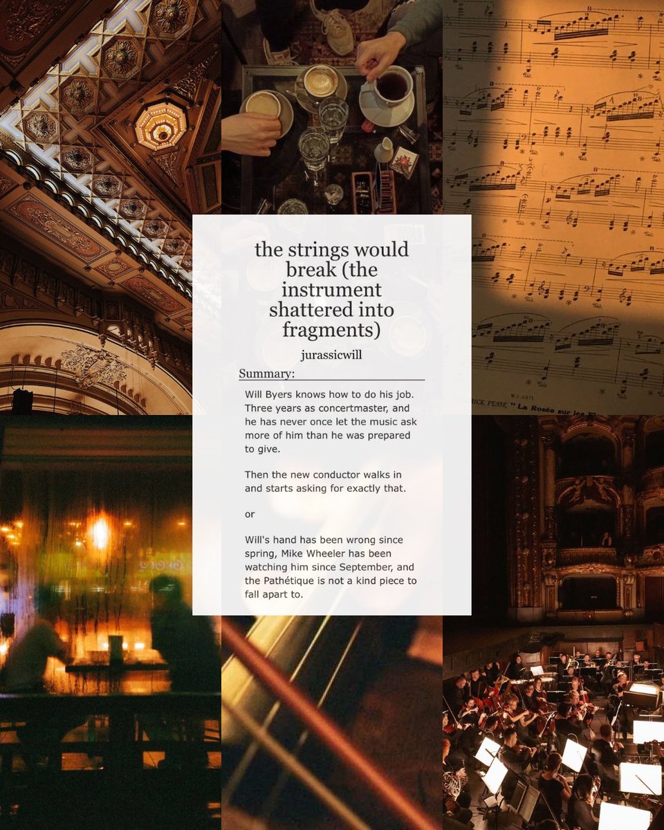 pip 🌟 tweet media